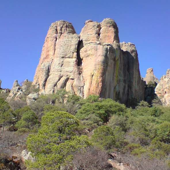 Sierra de Organos
